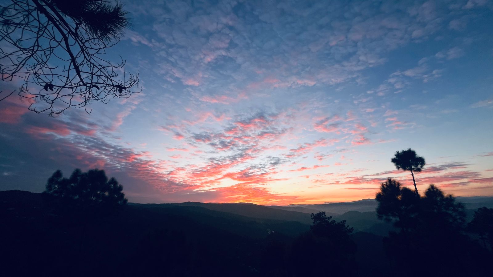 Pastel pink sky with scattered clouds